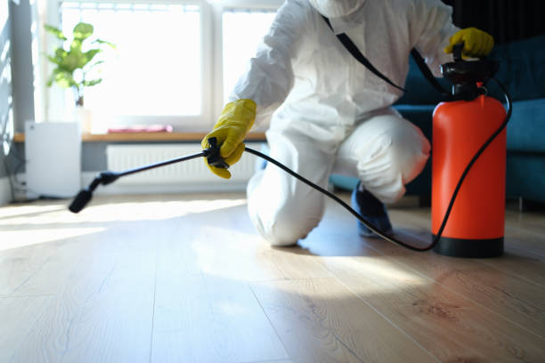 Reliable Odor Removal contractor in Eaton, IN by Crime Scene Cleaner Online